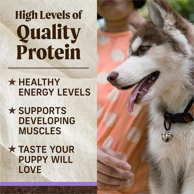 Merrick Premium Grain-Free Dry Puppy Food, Chicken & Sweet Potato