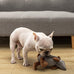 holy-pet-plush-dog-squeaky-toy-armadillo-gray-8-inch-small-medium-large-breed