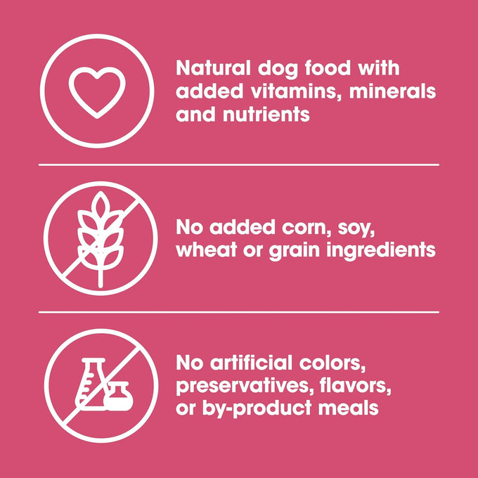 Nature's Recipe Grain Free Wet Dog Food, Salmon & Sweet Potato, 13oz Can