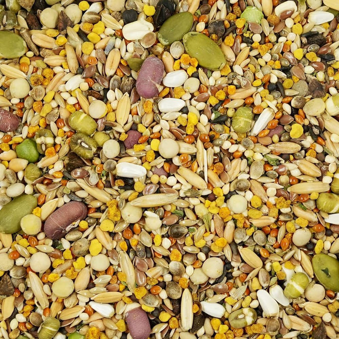 Feather Shine high potency parrot food with bee pollen, sprouts, USA-made, 17.5% plant protein, omega rich, molting, breeding, growth