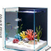 Small nano glass fish tank start kit with filter, LED light for shrimp, small fish, betta (1.5 gallon)