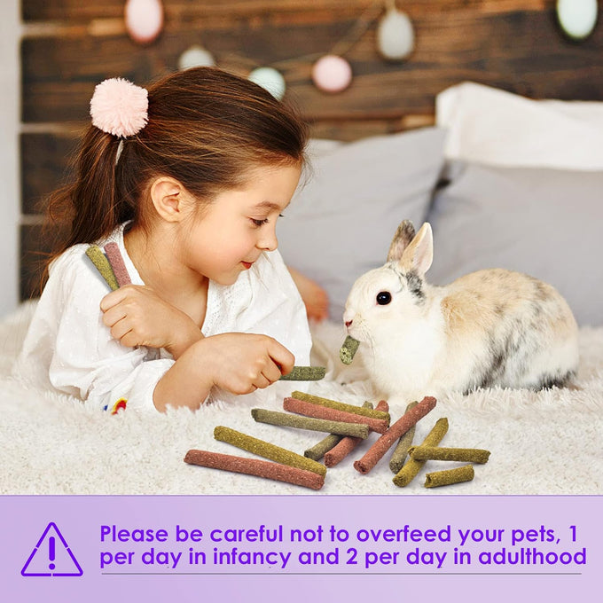 Bissap 36PCS natural timothy hay oat carrot bunny chew toys and treats for rabbits bunnies chinchillas guinea pigs hamsters and small animals
