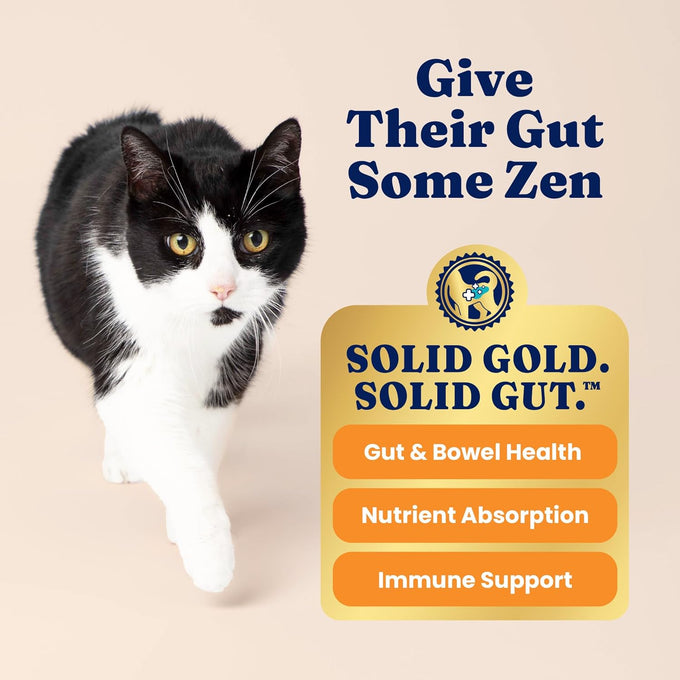 Solid Gold High Protein Grain Free Chicken Cat Dry Food with Probiotics for All Ages 12LB