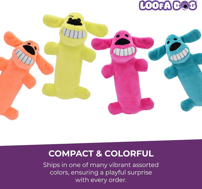 Multipet Original Loofa Dog Plush Toy - 6 Inch Squeaky Toy for Small to Medium Dogs - Extra Soft Plush