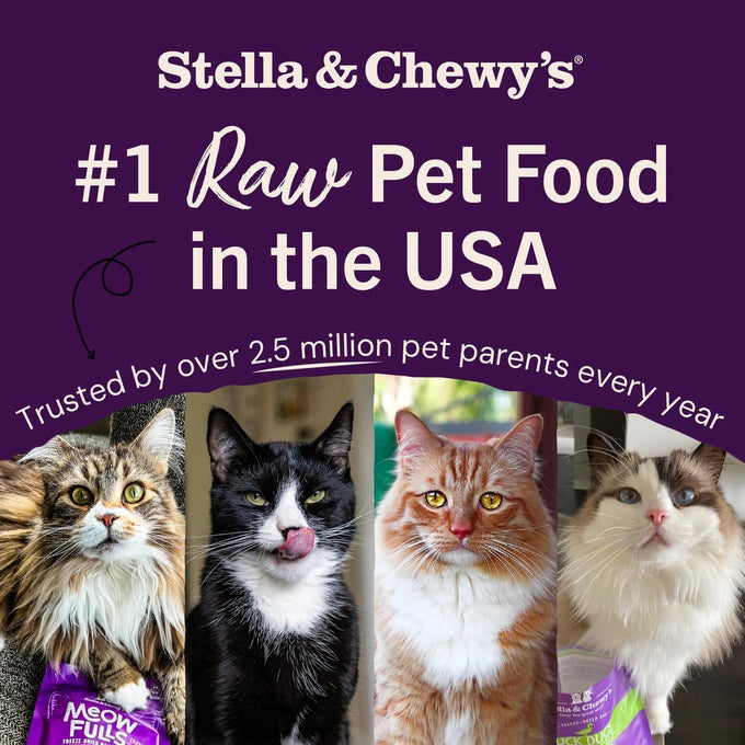 Stella & Chewy's premium freeze-dried raw cat dinner morsels with 98% responsibly-sourced rabbit recipe - grain-free, made in usa - 3.5 oz