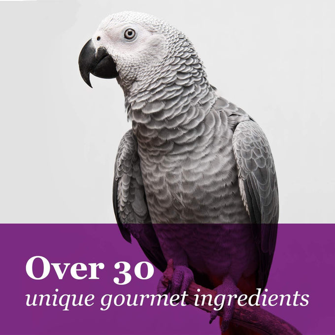 F.M. Brown's Tropical Carnival Big Bites Macaw Food for Daily Digestive Health, Vitamin Fortified, 5 lb