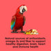 Kaytee Fiesta Macaws Bird Food, 25 lb, Premium Blend, Fruits, Vegetables, Seeds, Grains, Fun Shapes and Textures
