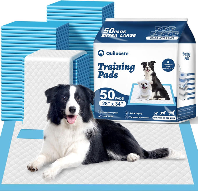 Quilocare 50-Count XL Disposable Dog Pee Pads, 28" x 34", Super Absorbent Leakproof Quick Drying Puppy Training Pads