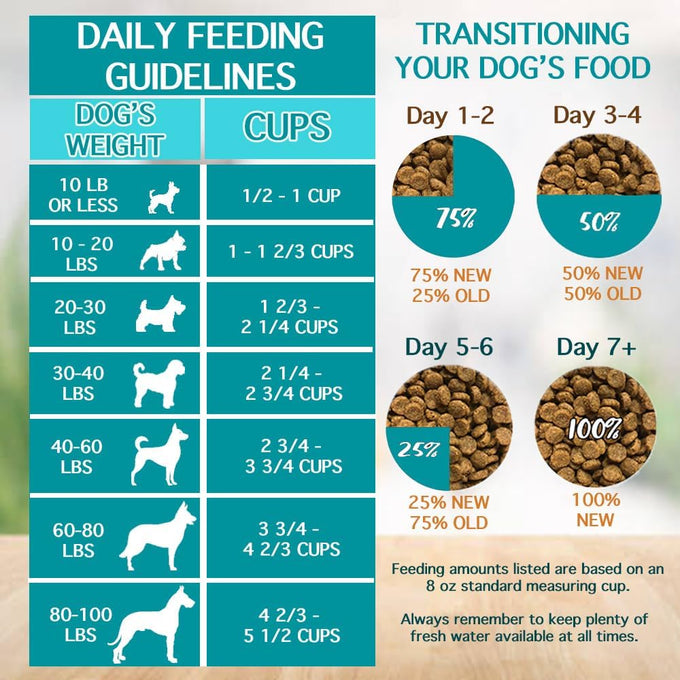 Chicken Soup for the Soul Adult Dry Dog Food, Chicken & Turkey