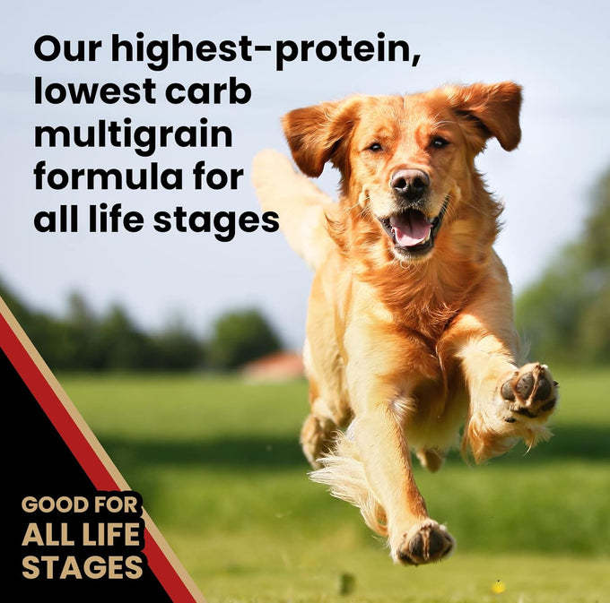 VICTOR Super Premium Gluten-Free High Protein Dog Food, 5lbs