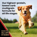 Victor Super Premium Gluten-Free High Protein Low Carb Dry Kibble for Active Dogs of All Ages, 5lbs