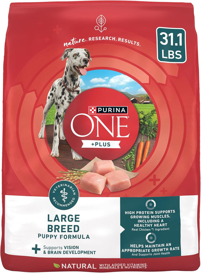 Purina ONE Plus Puppy Dry Dog Food, Chicken, 31.1 lb