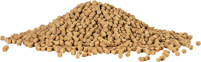 Aqueon sinking shrimp pellets food for tropical fish, goldfish, loaches, catfish, and bottom feeding fish, 6.5 ounces, 9mm diameter