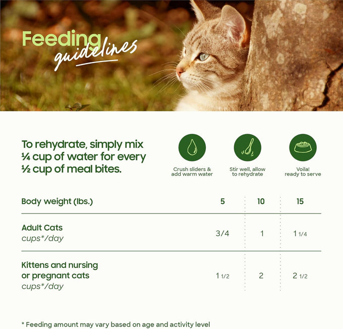 smallbatch freeze-dried raw cat food, beef recipe, high protein meal or topper, 10oz bag, usa made