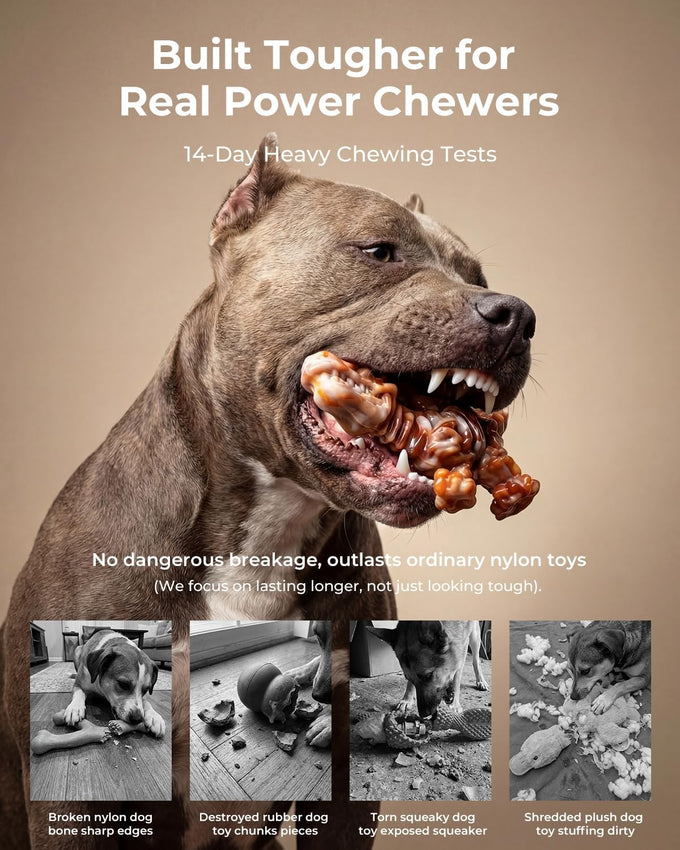 2 pack indestructible nylon dog chew toys, bacon flavor, heavy duty, long lasting for large dogs 20-90 lbs