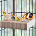 Katumo 7.8 Inch Paper Bird Chew Toy for Parakeet, Cockatiel, Conure, Budgie, Lovebird, and Small Birds