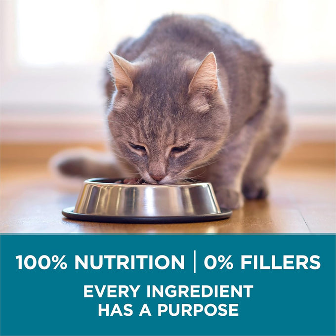 Purina one natural dry cat food tender selects blend with real chicken 16 lb bag