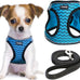 Yimeis No Pull Soft Mesh Pet Harness and Leash Set for Small Medium Large Dogs and Cats, Pink, X-Small