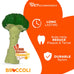 Nylabone Broccoli Power Chew Toy for Large Dogs, Bacon & Cheese Flavor, Up to 50 lbs