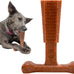SPOT Bam-Bones Plus T Bone Bamboo Fiber Nylon Dog Chew Toy for Moderate Aggressive Chewers Durable Long Lasting Non-Splintering Beef Flavor 6 in