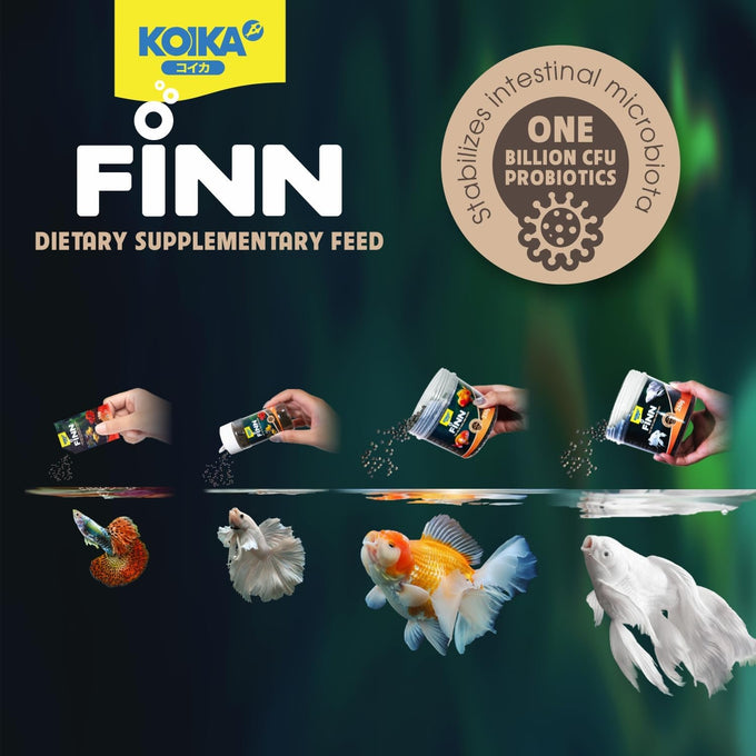 KOIKA FINN Probiotic Fish Food Pellets, 43% protein, Bacillus Probiotics, for ornamental fish, 0.4mm pellets