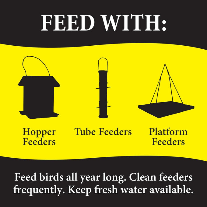 Wild Delight 4.5 lb Advanced Formula Bugs N Berries Wild Bird Food - Premium Variety Seed