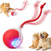 Red Red Interactive Electric Pet Ball Toy for Cats and Dogs with Motion Activation and USB Charging - 5-Inch Diameter