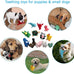 Legend Sandy Squeaky Plush Dog Toy Pack, 12 Soft Puppy Chew Toys with Squeakers for Small Medium Size Dogs