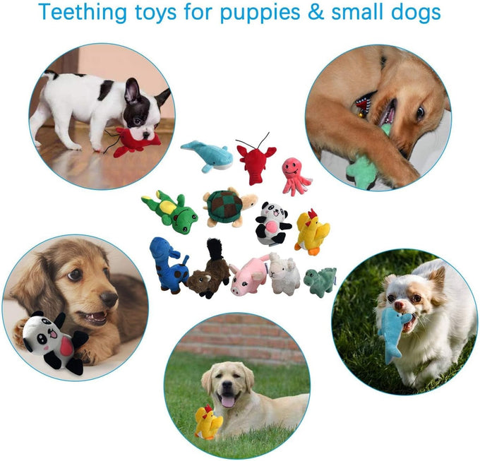 Legend Sandy Squeaky Plush Dog Toy Pack, 12 Soft Puppy Chew Toys with Squeakers for Small Medium Size Dogs