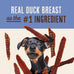 Waggin' Train 100% Real Duck Breast Jerky Dog Treats, 12 oz Pouch, High Protein, Sensitive Stomach Friendly