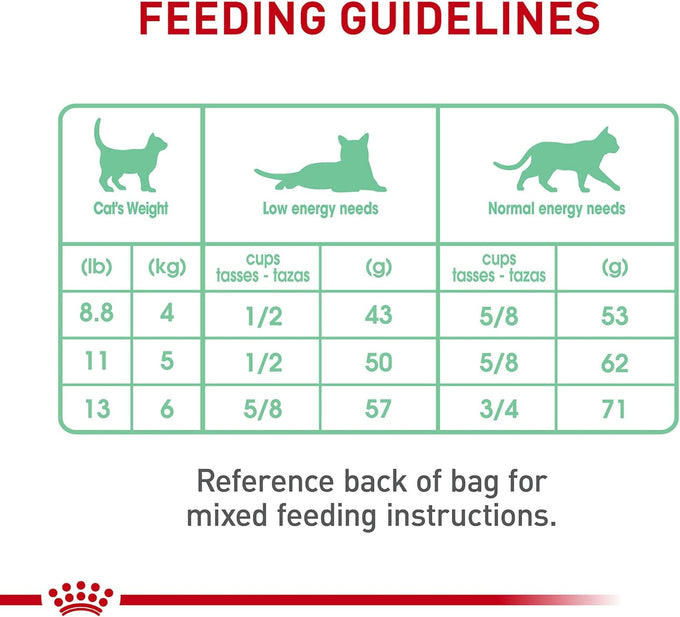 Royal Canin Feline Care Nutrition Digestive Care Adult Dry Cat Food, 6 lb Bag