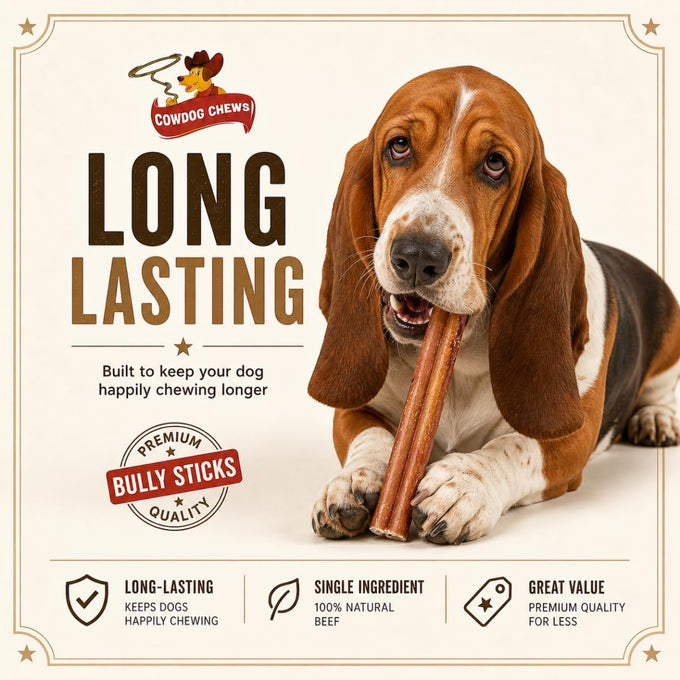 Cowdog Chews 9-12 inch odour-free, fully digestible beef collagen chews for all dog breeds (10 count)
