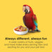 Kaytee Fiesta Big Bites macaw food nutritious fun blend supports skin feather digestion brain heart health 10 pounds large premium ingredients