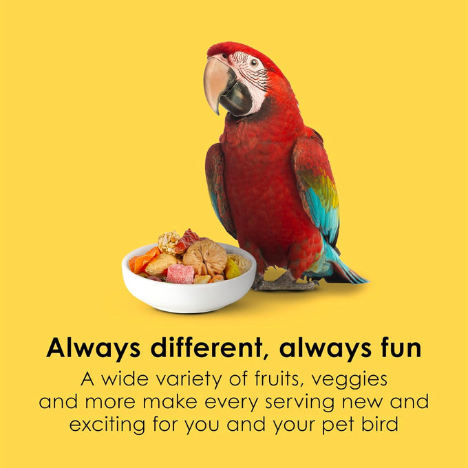 Kaytee Fiesta Big Bites macaw food nutritious fun blend supports skin feather digestion brain heart health 10 pounds large premium ingredients