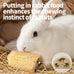 besnew natural loofah rabbit chew toys 100% edible for teeth health