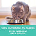 purina one sensitive stomach natural dry cat food 7 lb bag with turkey first ingredient