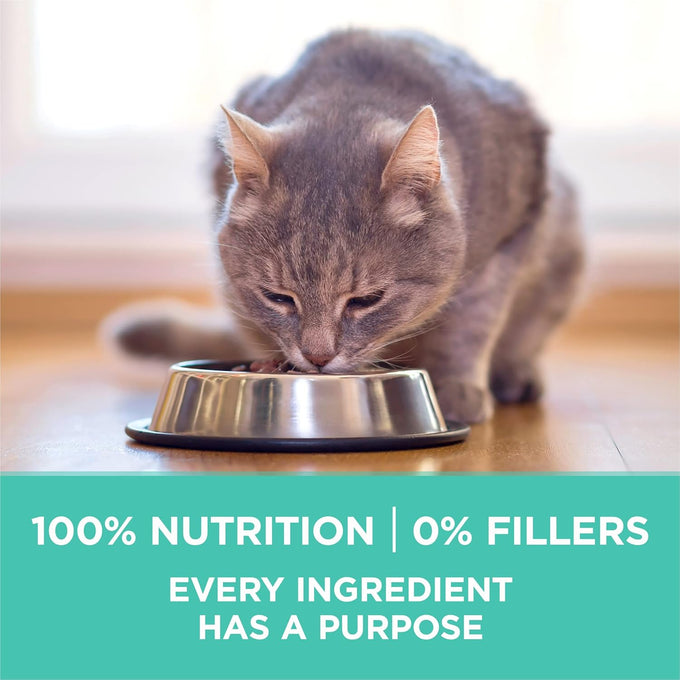 Purina one sensitive stomach cat food, high protein, turkey first ingredient, 16 lb bag, sensitive skin and stomach formula