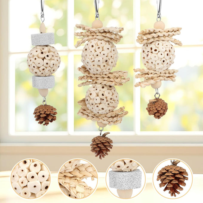 Wontee natural sola ball parrot foraging hanging toys, safe for cockatiels, conures, parakeets, budgies, senegal, 3 pack