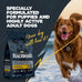Blackwood Puppy & Performance Dry Dog Food, Chicken Meal