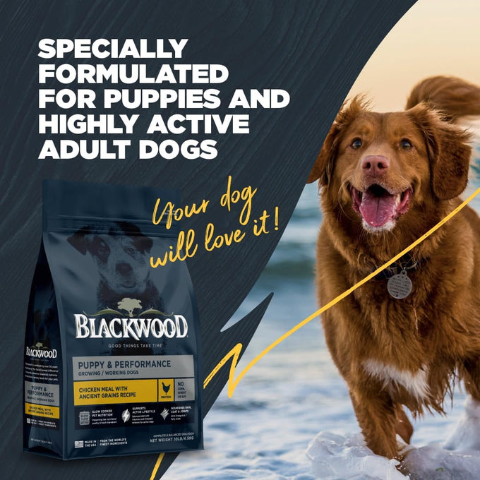 Blackwood Puppy & Performance Dry Dog Food, Chicken Meal