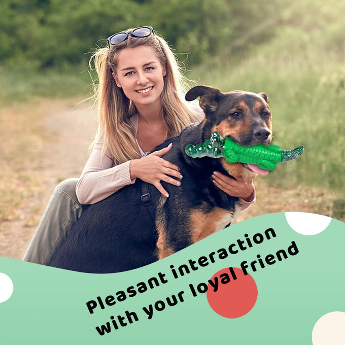 Tuffy's Ultra Tough Dog Chews for Small, Medium, Large Breed Dogs