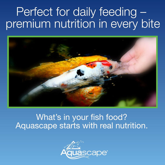 Aquascape Premium Staple Fish Food Pellets, Medium Pellet, 2.2 Pounds for Small to Medium Pond Fish