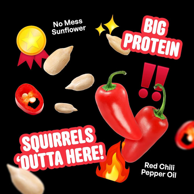 cool-birds-hearts-on-fire-hot-bird-seed-10-lb-100-hulled-sunflower-hearts-with-chili-pepper-oil