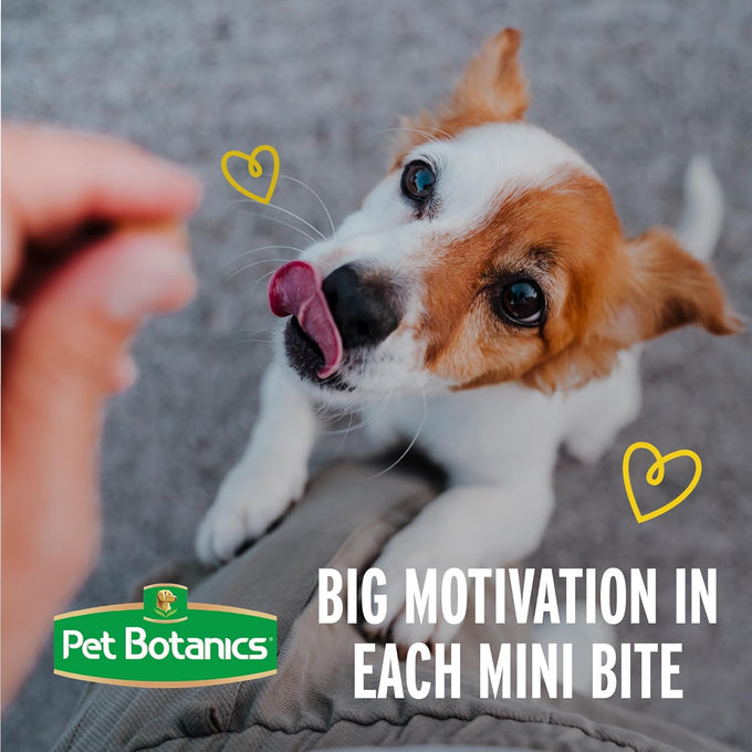 pet botanics 10 oz bacon flavor training rewards soft chewy treats for small dogs