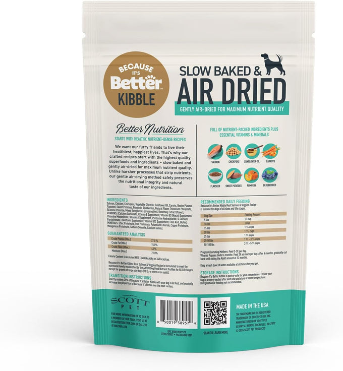 Because It’s Better Slow Baked & Air Dried Dog Food - Real Salmon & Veggies - Complete & Balanced Dry Dog Food - Grain Free, High Protein, Natural Nutrition for All Life Stages, 1 lb Bag