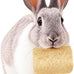 besnew natural loofah rabbit chew toys 100% edible for teeth health