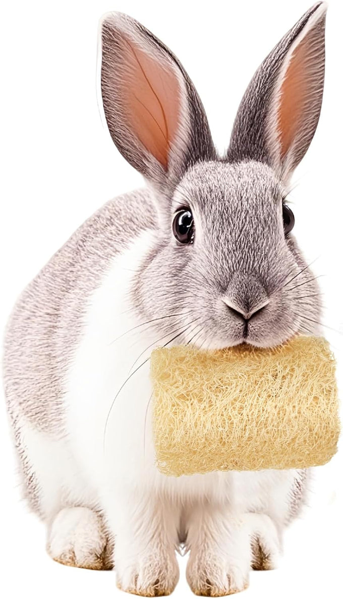 besnew natural loofah rabbit chew toys 100% edible for teeth health