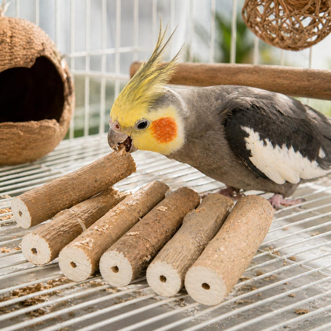 Bonka Bird Toys 1211 Pk6 6-pack natural sola sticks 3 long 1.25 diameter soft chew foraging toy