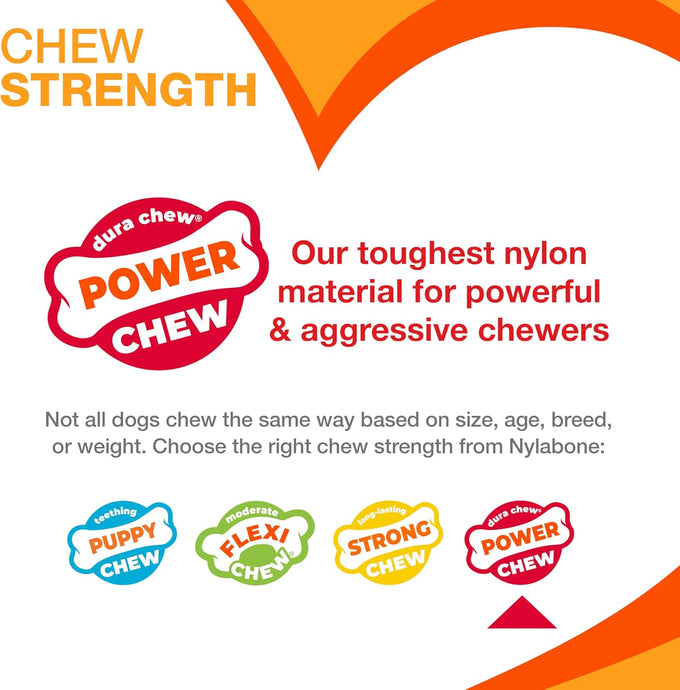 Nylabone Original Bone Power Chew Toy for Large Dogs, Durable 2-Pack, Chicken Flavor, Basted Blast, Up to 50 lbs