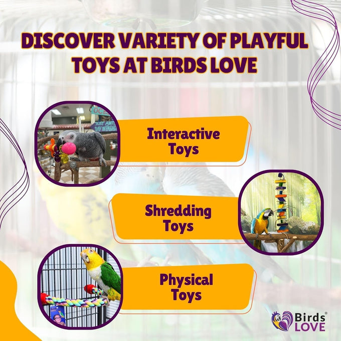 Wood stars & leather toy for small to medium parrots, bird toys for sun conures, green cheeked conures, cockatiels, and more